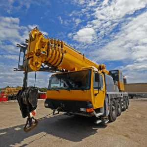 image-grue